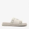 Icon Slides<PEDRO Clearance